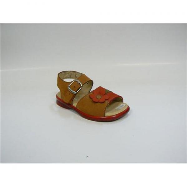 43-81319 sz 24 drapp